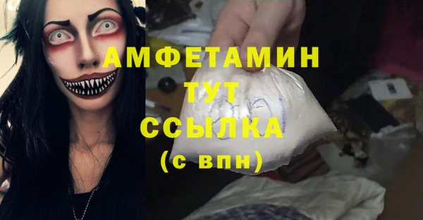 сатива Вяземский