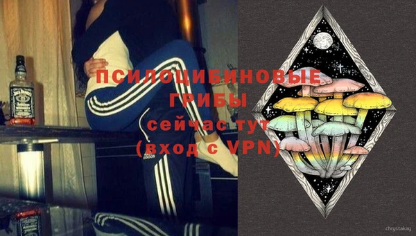 сатива Вяземский