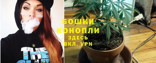 сатива Вяземский